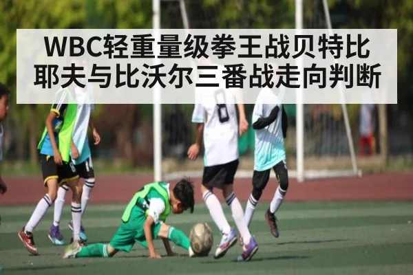 WBC轻重量级拳王战贝特比耶夫与比沃尔三番战走向判断